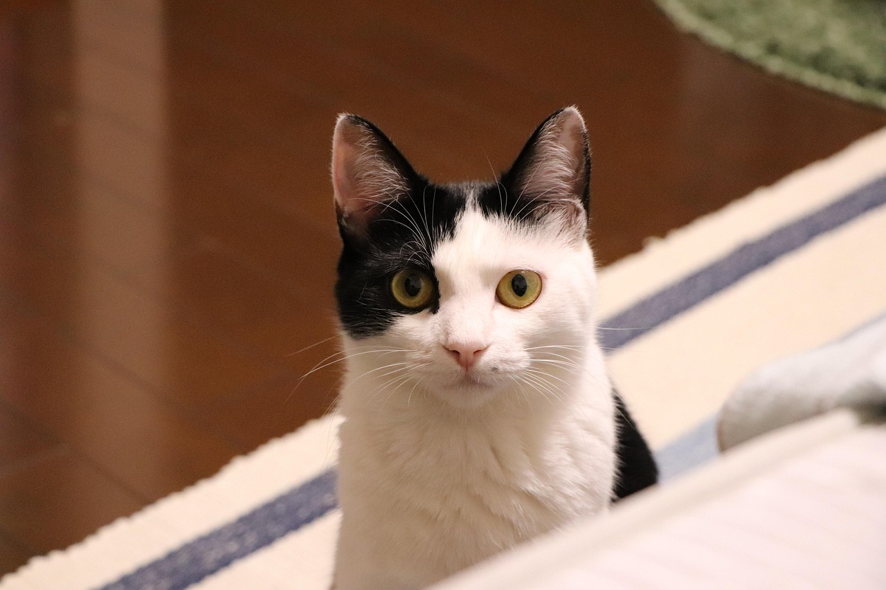 Hello world!